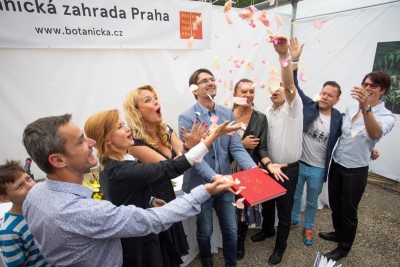 Obrázek č.0