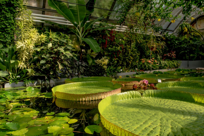 Víkend otevřených zahrad