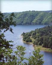 Slapská přehrada aneb Z vody rovnou na houby