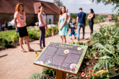 Bylinkový ráj SONNENTOR Čejkovice