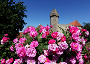 Muzeum středního Pootaví Strakonice