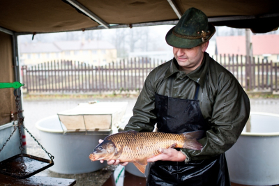 Obrázek č.3