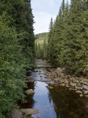 Antýgl, foto AFORTI IT