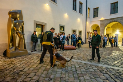 foto Miroslav Bárta