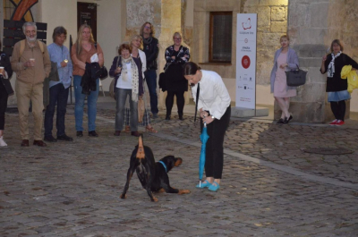 foto Jaroslav Kotrouš