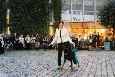 foto Miroslav Zajíc