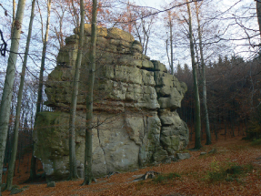 Do chřibských hvozdů