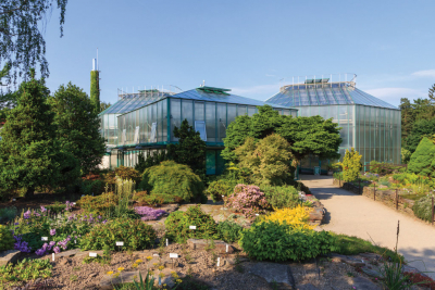 Ogród botaniczny