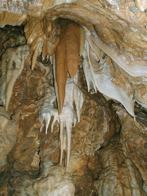 Bozkowskie jaskinie dolomitowe
