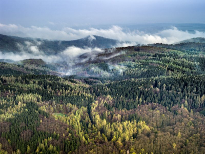 Křivoklátské lesy