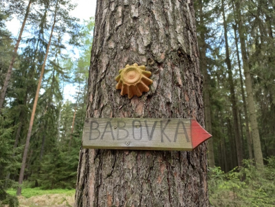 Vrch Bábovka v CHKO Brdy