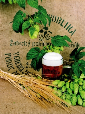Chmelařské muzeum Žatec - nejsprávnější zátiší