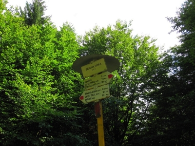 Obrázek č.0