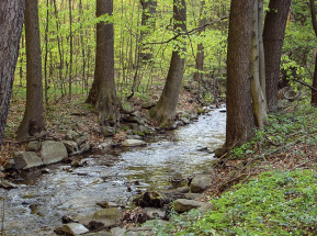 Račí údolí u Javorníku