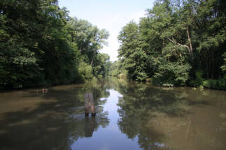 CHKO Litovelské Pomoraví