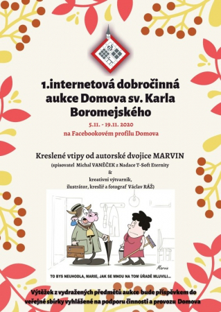 Internetová dobročinná aukce