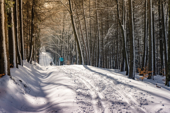 Běžkaři v Lužických horách