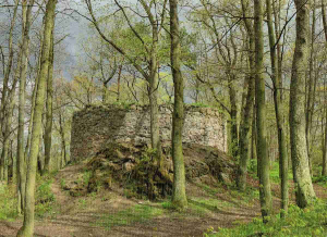 Prácheň. Gotický hrad z poč. 14. stol. Torzo válcové věže.