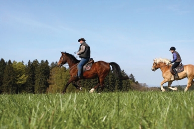 Horseriding in the Eastern Bohemia