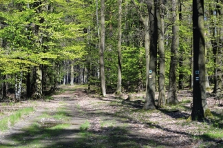 Cyklovýlet „Lesními cestami ze Zbiroha pod Týčský vrch a kolem nádrže Jablečno“