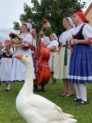 Kapela folklorního souboru Bystřina ze Zlivi se zabývá hudbou Zbudovských blat na jihu Čech.