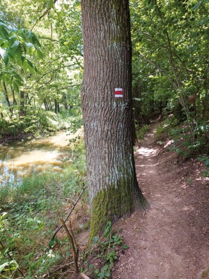 Vlevo Hamerský potok, vpravo červená, NE kolům i kočárkům