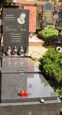 Hrob na Vyšehradském hřbitově
