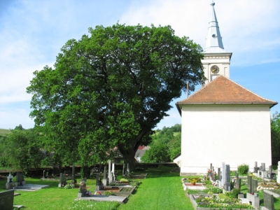 47. Prosetínský dub a kostel
