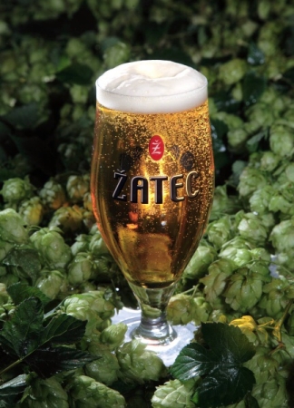 ŽATEC – město kde je pivo doma 