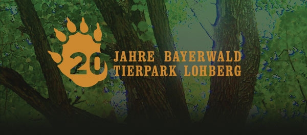 Pozvánka do Bavorského lesa