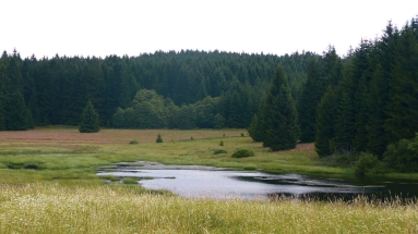 Vznik CHKO Český les