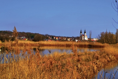 Pohled k obci Březno od rybníků