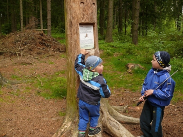 Pojďte s dětmi do pohádkového lesa