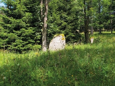 Irglův kámen
