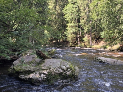 Přírodní rezervace chrání balvanité koryto řeky